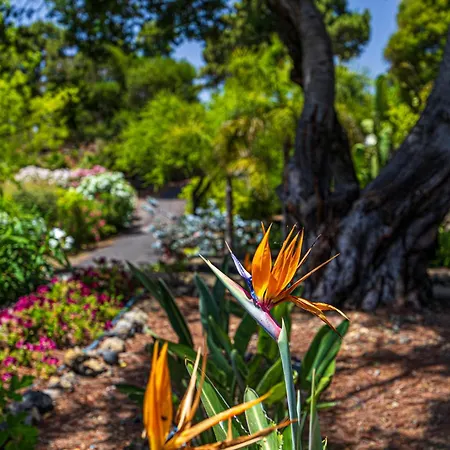 Casa Mi Arcadia El Paso
